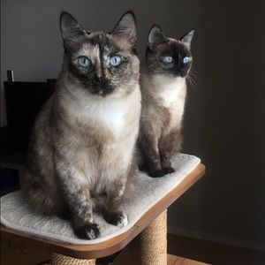 Meet your Posher, Richard